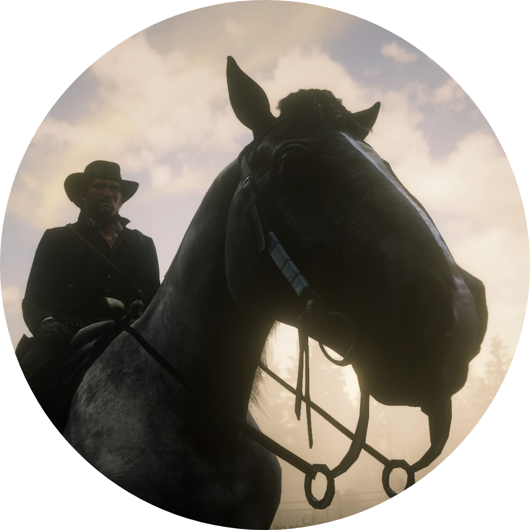 Red dead redemtpion 2